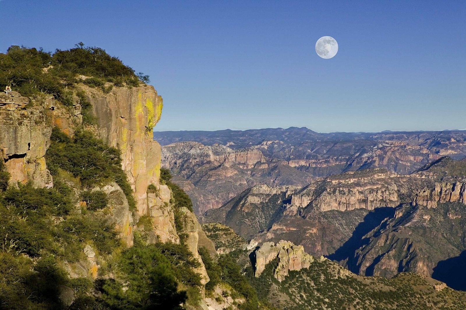 Vista desde Divisadero, Barrancas del Cobre