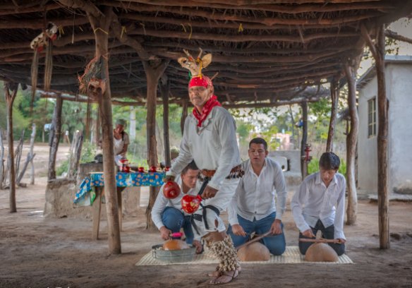 Danza del Venado en Mayo Capomos